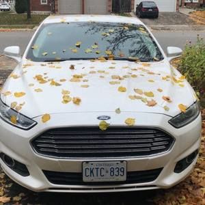 Meet your Posher, Harjot